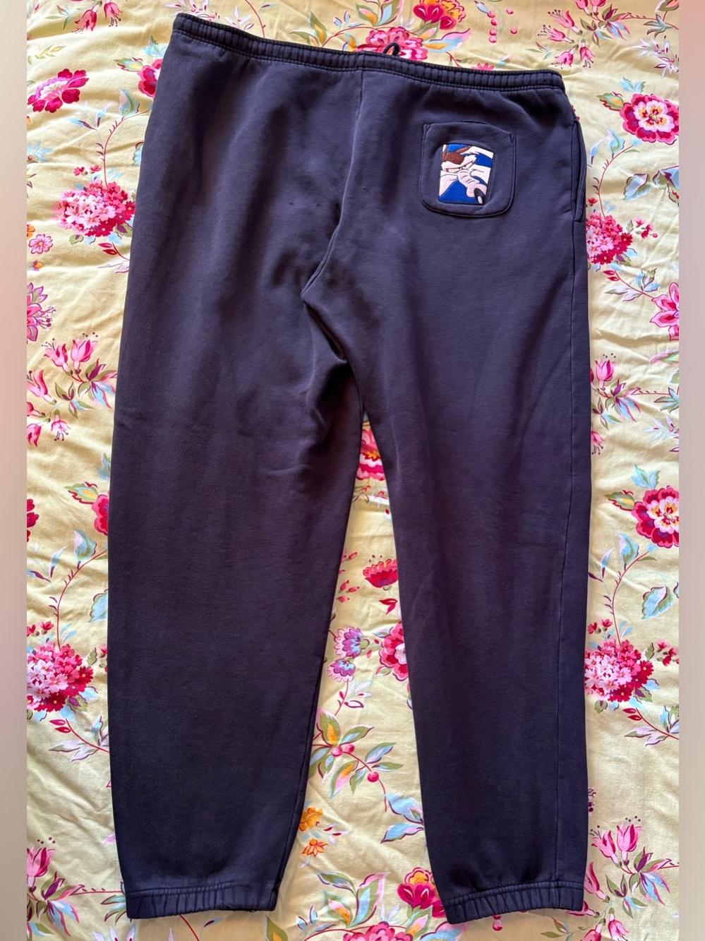 Warner Bros vintage 90s Wile E Coyote patch fleece sweatpants XL 30” inseam GUC